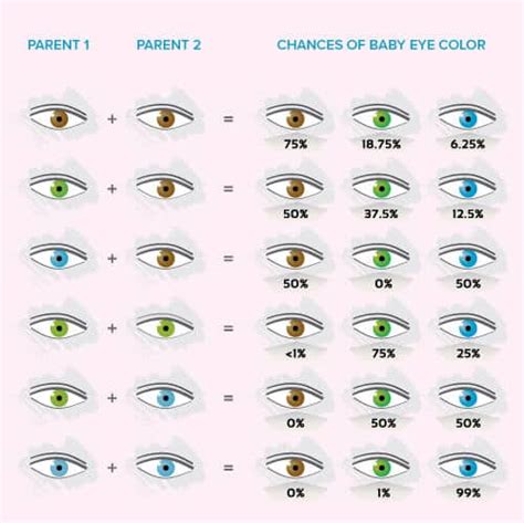 Eye color calculator. Things To Know About Eye color calculator. 